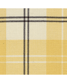 Ailsa Yellow tartan kilt