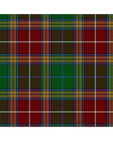 Clan Bexter Tartan Kilt