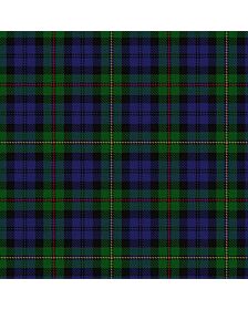 Clan MacEwen Family Tartan Kilt