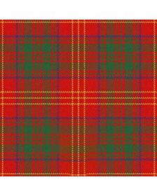 Burns Ancient Family Tartan Kilt
