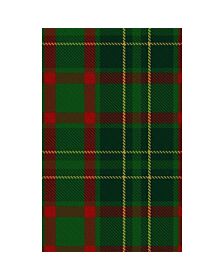 Clan Doyle Tartan kilt