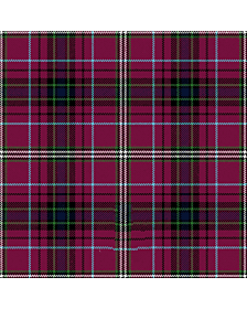 Clifford Modern Tartan Kilt
