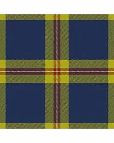 Degli Uberti Baron of Cartsburn Tartan Kilt