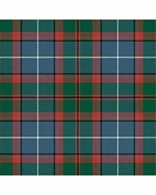 Dunedin Florida Ancient Tartan Kilt