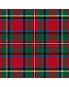 Followers Plaid Tartan Kilt
