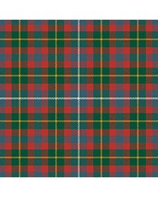 Forrester of S Carolina Ancient Tartan kilt