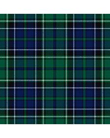 Haley Clan Tartan Kilt