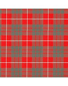 Hamilton Red Weathered Tartan Kilt
