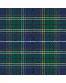 Highland District Tartan Kilt