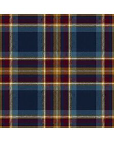 Holyrood Jubilee Tartan Kilt
