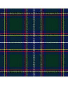 Hydesville Tower School Ancient Tartan Kilt