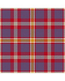 Lady Boys of Bangkok Tartan Kilt
