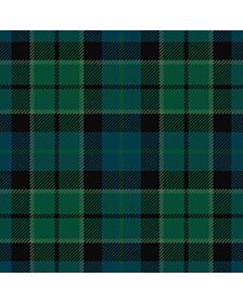 Lennie Ancient Tartan kilt