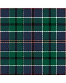 Leslie of the Hebrides Tartan kilt