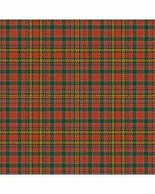 MacAlister (Gourlay Steele Collection) Ancient Tartan Kilt
