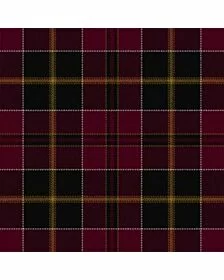 MacAlister of Skye Tartan Kilt
