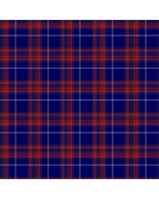 New York City Tartan Week Tartan Kilt