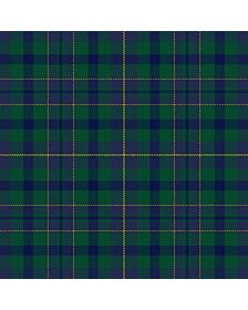 Pinney's Of Scotland Tartan Kilt