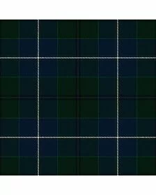 Police College Tulliallan Tartan Kilt
