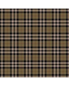 Pride Of Scotland Gold Tartan Kilt