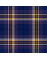 Charleston Police Department Tartan kilt