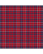 Ensemble pour L'Avenir Tartan Kilt