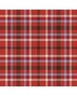 Hodgert Connor & Family Ancient Tartan Kilt