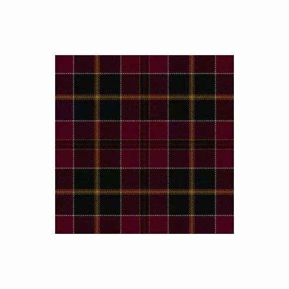 MacAlister of Skye Tartan Kilt
