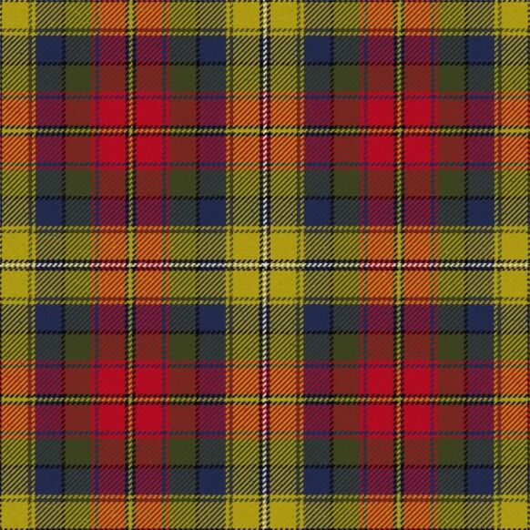 Robieson Playfield Playfield House Tartan Kilt
