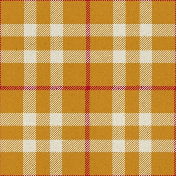 Buy authentic tartan kilts with adjustable leather straps and traditional pleats. Available in thousands of clan tartans. Worldwide shipping available.
