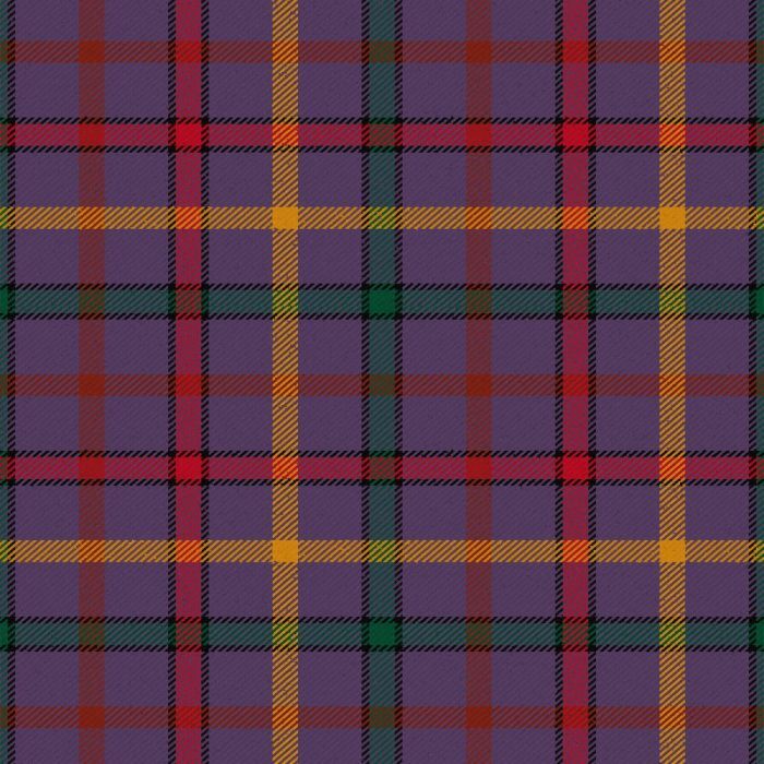 Child The Tartan Kilt