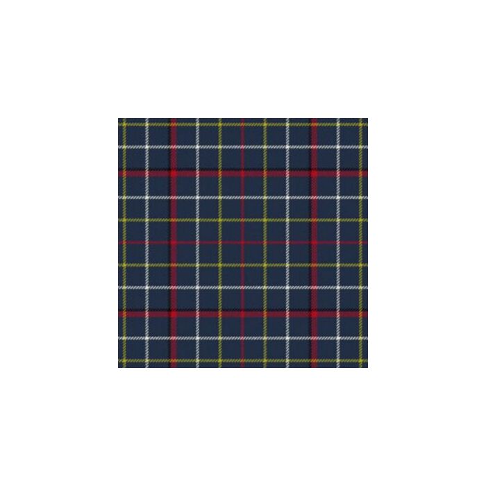 Lifeboats Royal National Institute Tartan Kilt