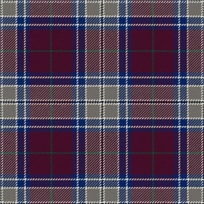 Royal Society For The Prevention Of Cruelty To Children Heather Modern Tartan Kilt
