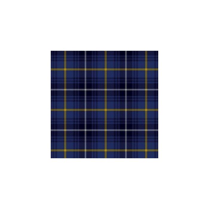 Swedish Tartan Kilt