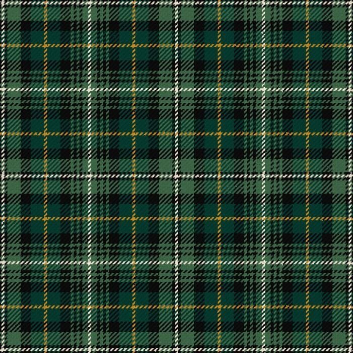 Terre DEcosse Modern Tartan Kilt