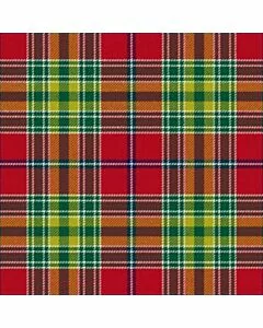 Dunblane District Tartan Kilt