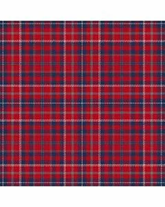 Ensemble pour L'Avenir Tartan Kilt