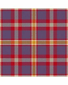 Lady Boys of Bangkok Tartan Kilt
