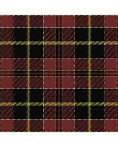 MacAlister of Skye Ancient Tartan Kilt
