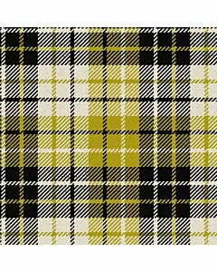Tartan Of The Republic Tartan Kilt