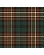 Allan Tartan Shorts For Men 