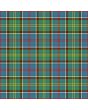 Ayrshire District Tartan Kilt