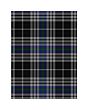 Clan Brittany Tartan Kilt 