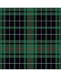 Clan MacAulay Hunting Ancient Tartan Kilt